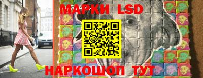 a pvp Гатчина