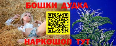 шишки Волгодонск