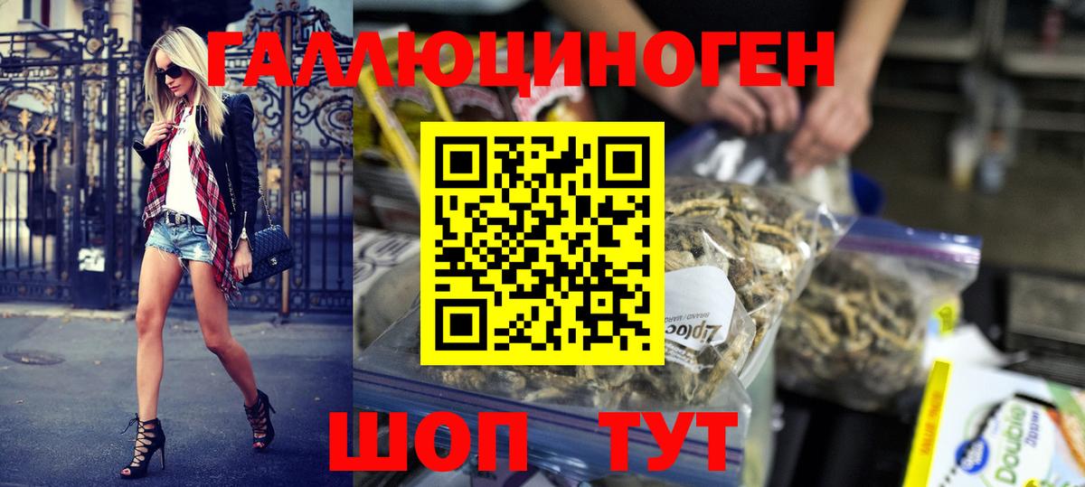 Псилоцибиновые грибы Cubensis  где найти   Ростов Великий  Вход с VPN 